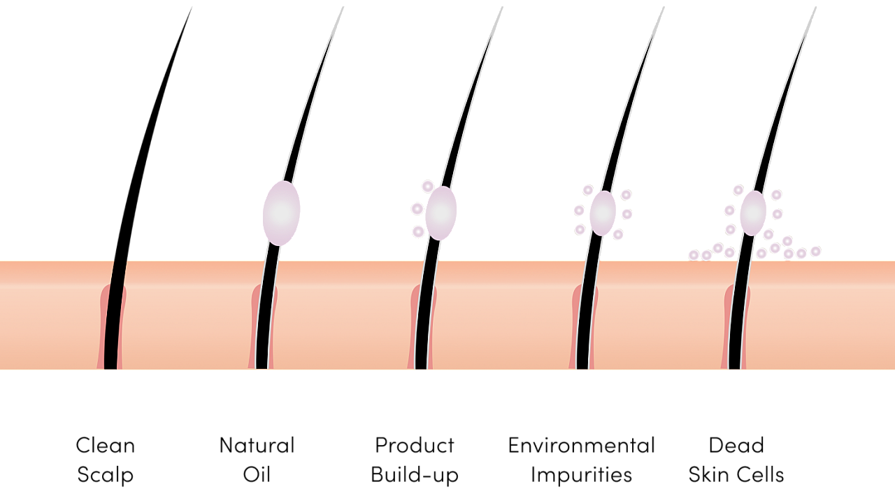 Diagram for export