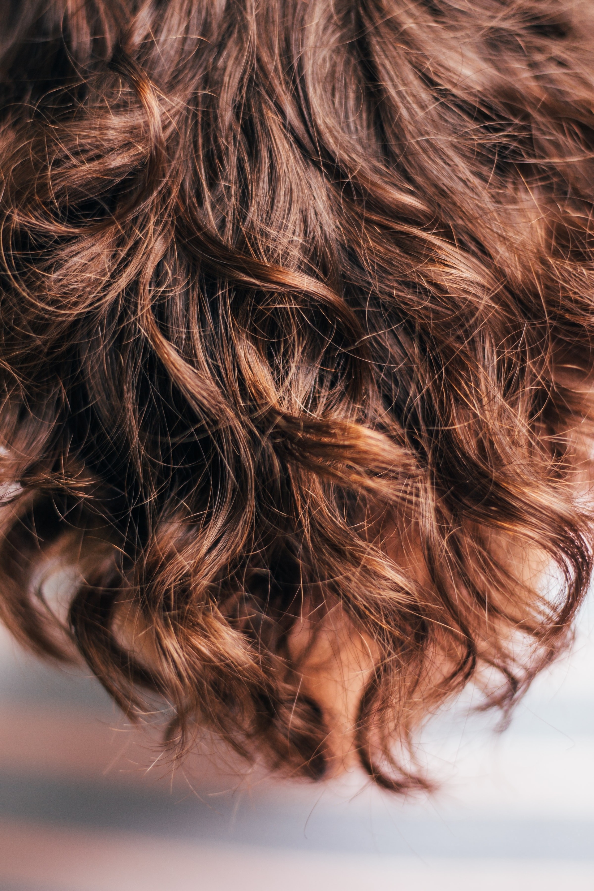 How to Fix Damaged Hair | Alterna Haircare How to Fix Damaged Hair | Alterna Haircare