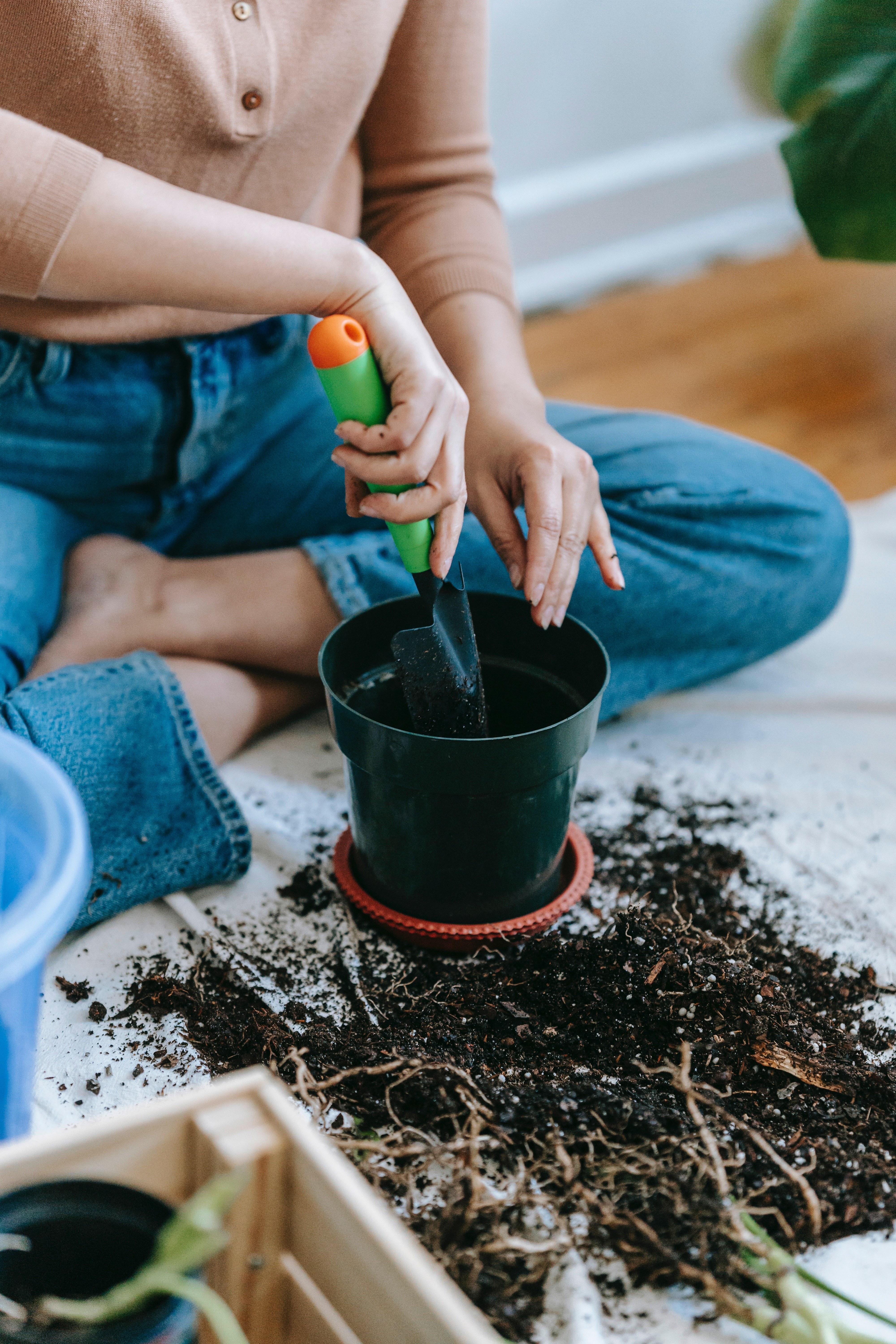 How to Reduce Food Waste in 3 Easy Steps 4